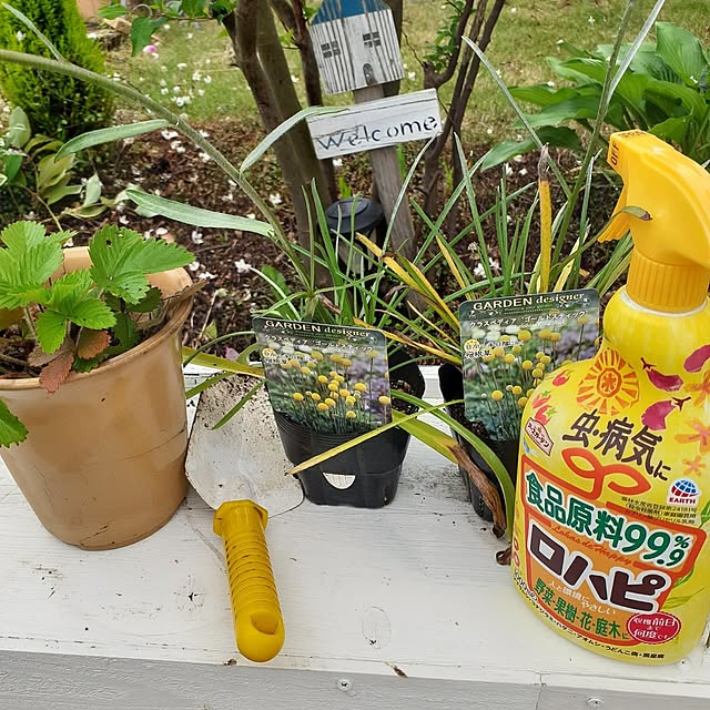 prepreさんの部屋