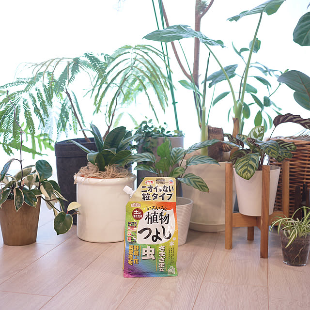 haraさんの部屋