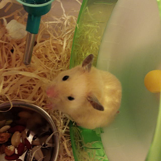 ty1188さんの実例写真
