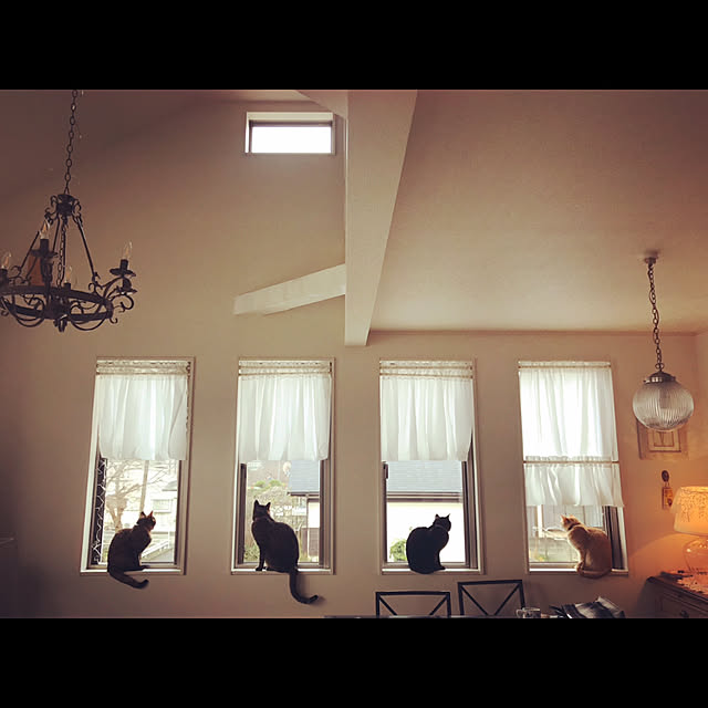 Tomococoroさんの実例写真