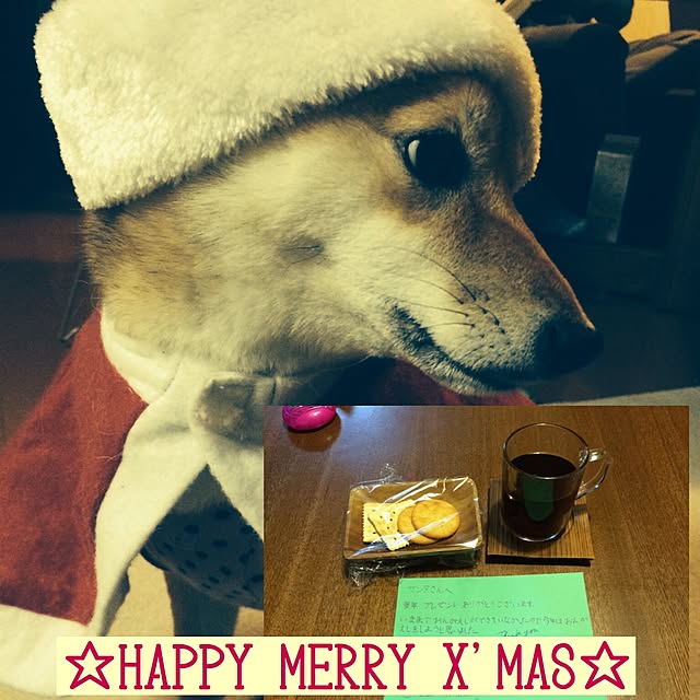marobokeさんの実例写真