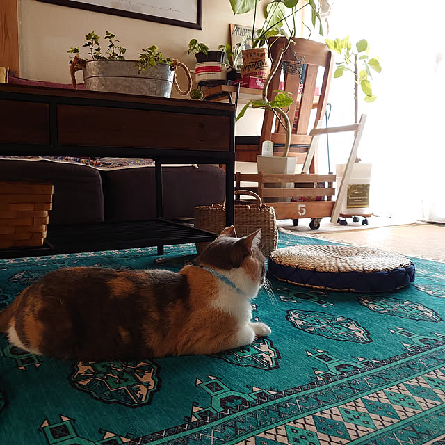 fukuさんの実例写真