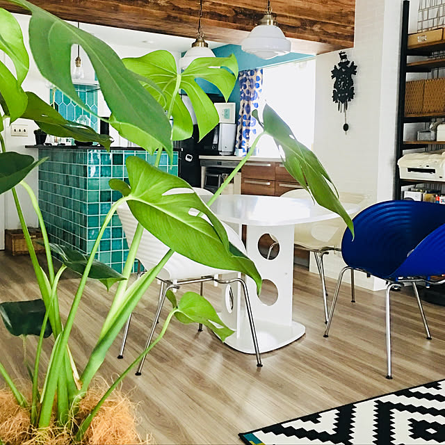 vitra トムバックチェアのおすすめ商品とおしゃれな実例 vitra トムバックチェアのおすすめ商品とおしゃれな実例