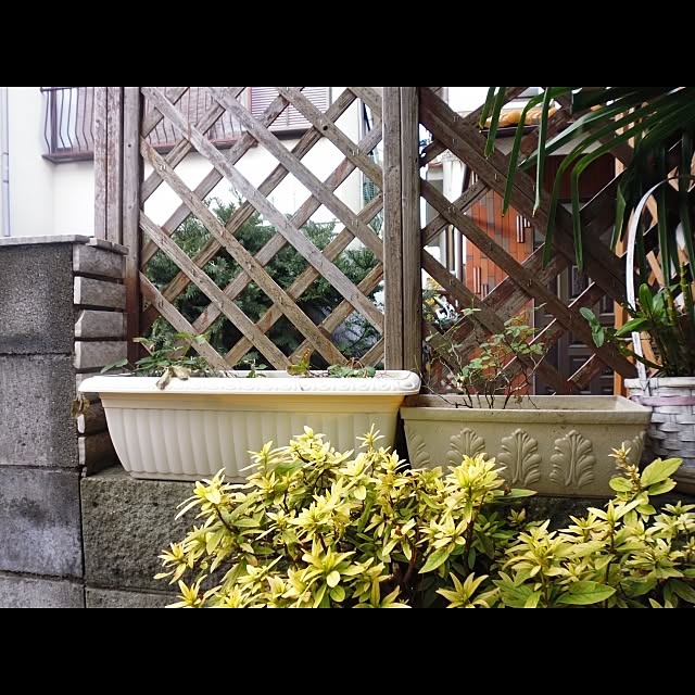 horurunさんの実例写真