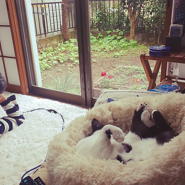 oseroさんの実例写真
