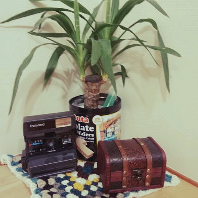 gurikoさんの実例写真