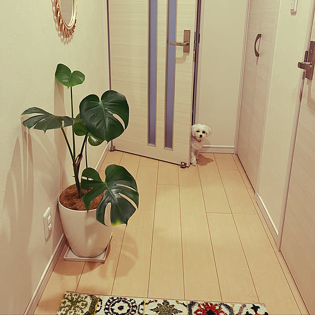 yuukiさんの実例写真