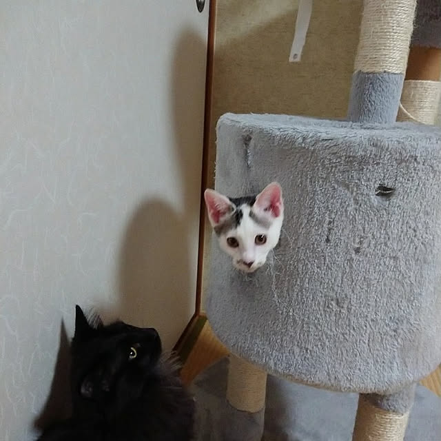 kumiさんの実例写真