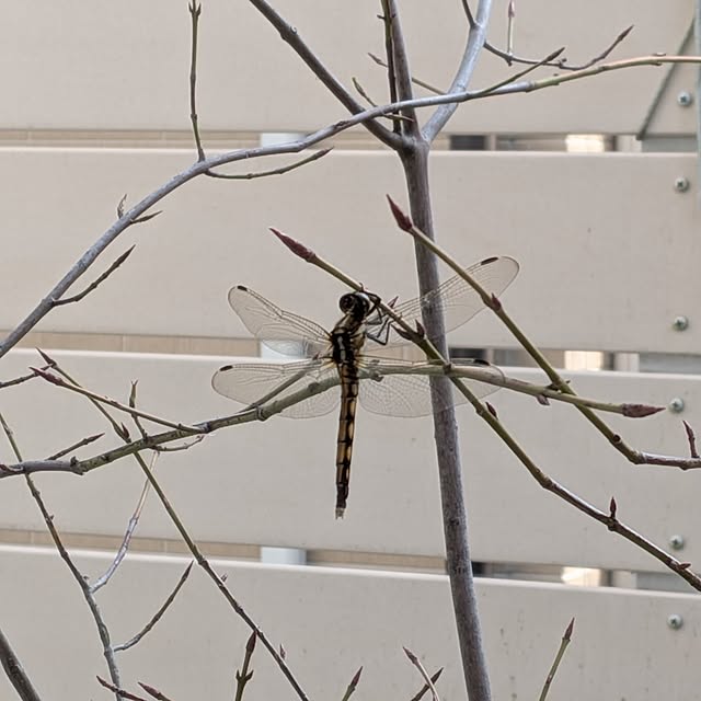 Bienvenueさんの実例写真