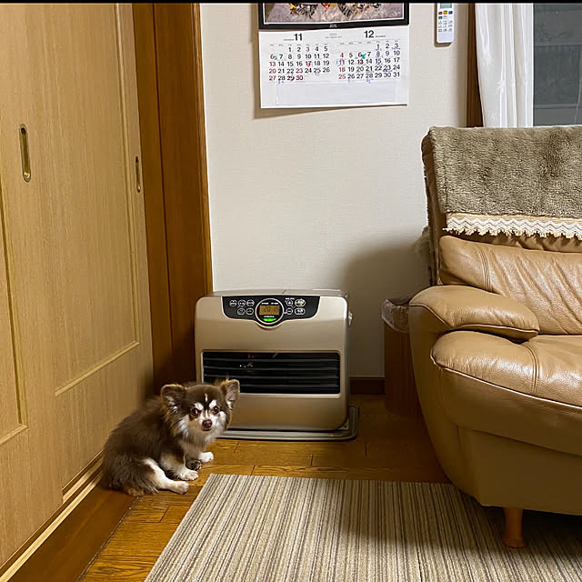 chIoeさんの実例写真