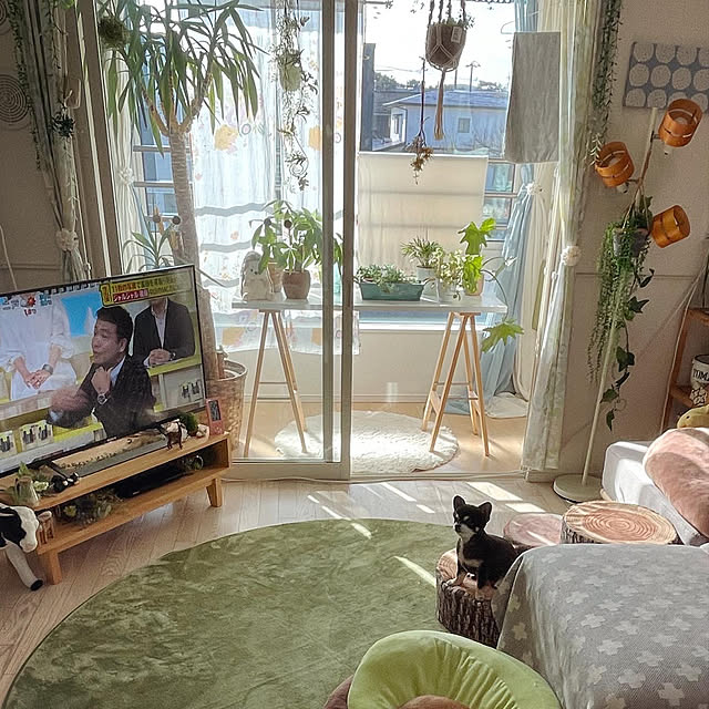 muccoさんの実例写真