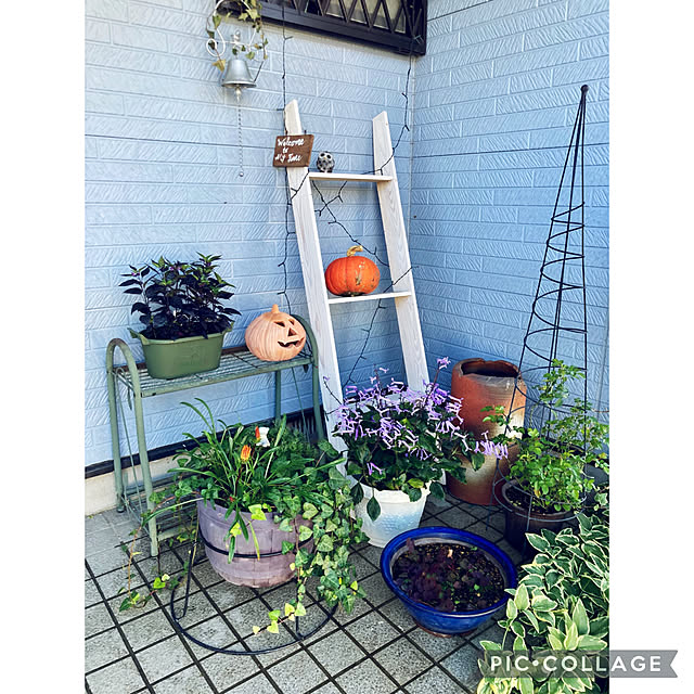 CoCo0617さんの実例写真
