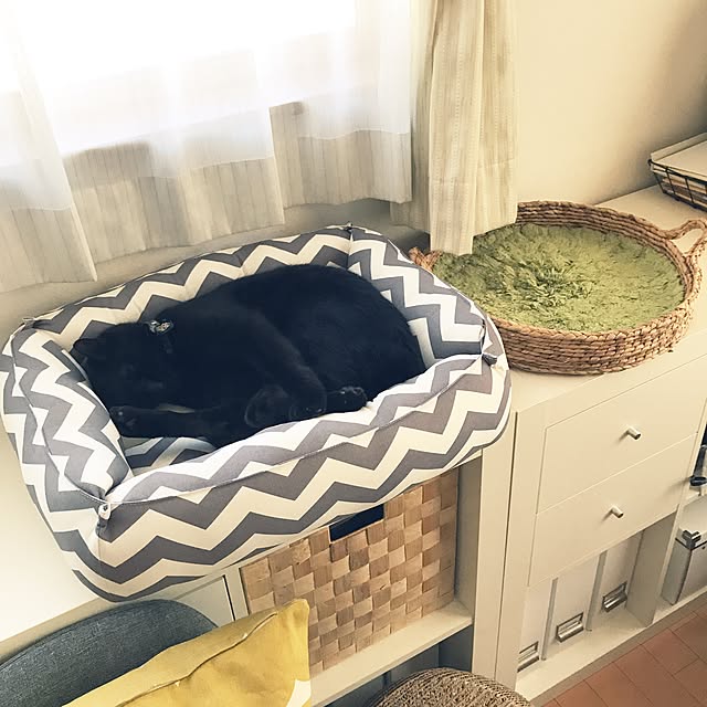 yuki0511さんの実例写真