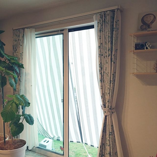 tan5さんの実例写真