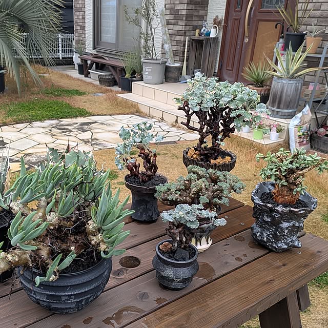 ot-gardenさんの部屋