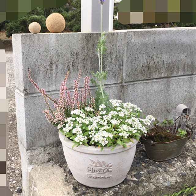 Melさんの実例写真