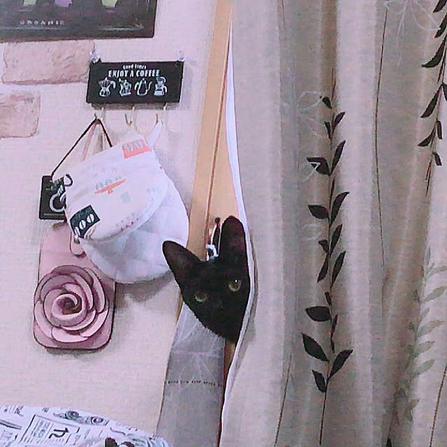 jiji.kuuさんの実例写真