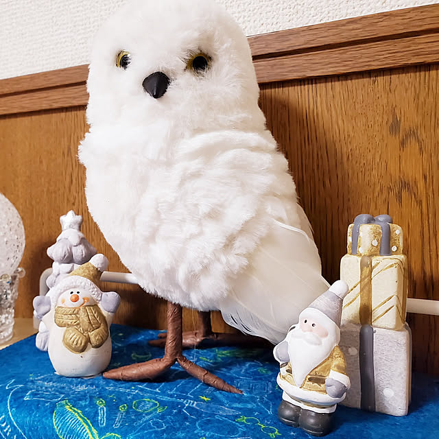 shiinaさんの実例写真