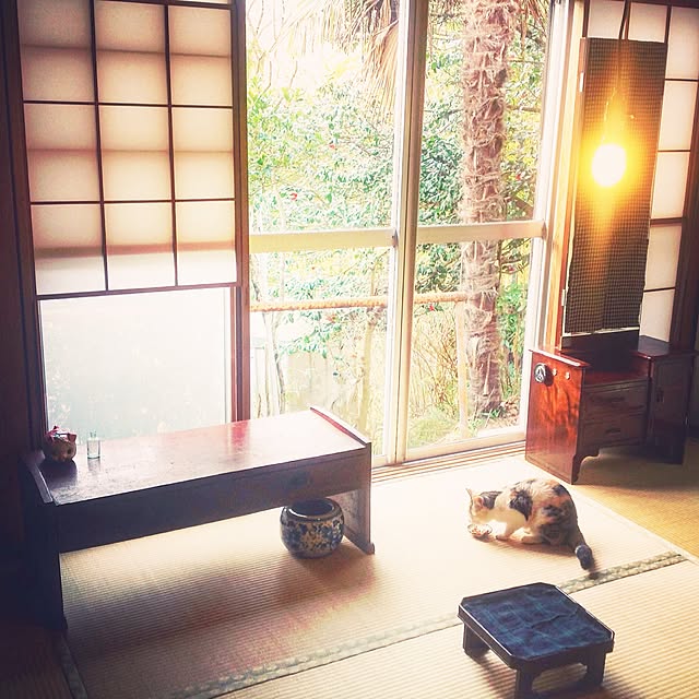akariさんの実例写真