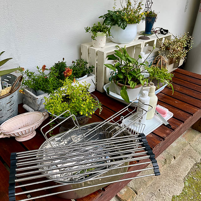 cota2さんの部屋