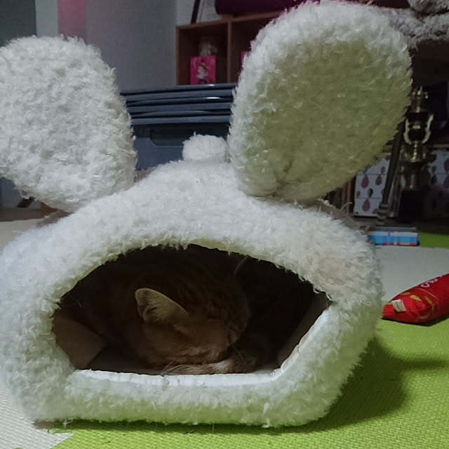 shinobuさんの実例写真