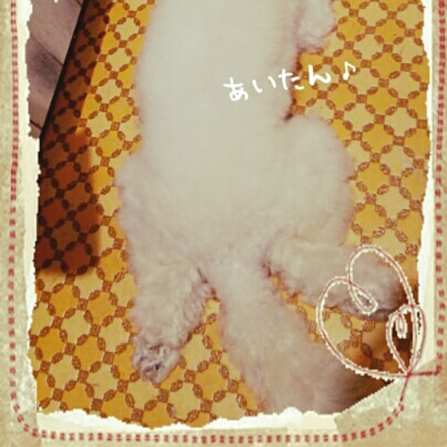 riesanchiさんの実例写真
