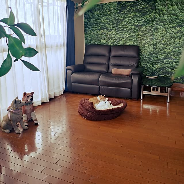 NOAHさんの実例写真