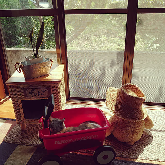 fukuさんの実例写真