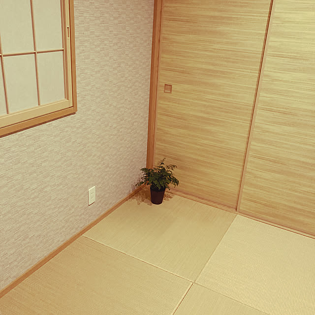 kyonさんの実例写真