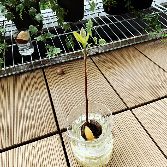 junさんの実例写真