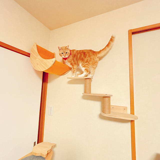 moolさんの部屋