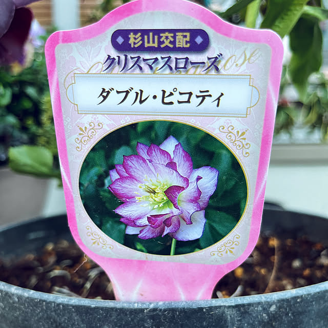 yukarin-gardenさんの部屋