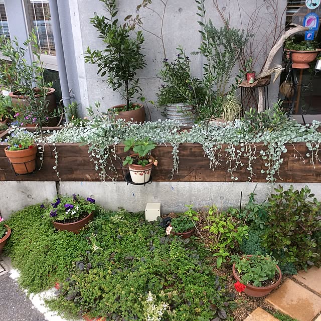 osharetomさんの実例写真