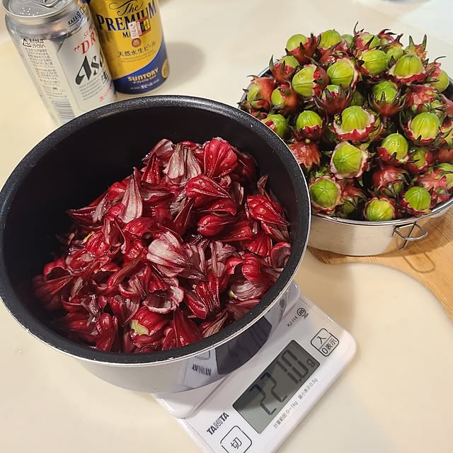 Rubiconさんの部屋