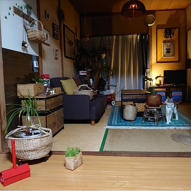 fukuさんの実例写真
