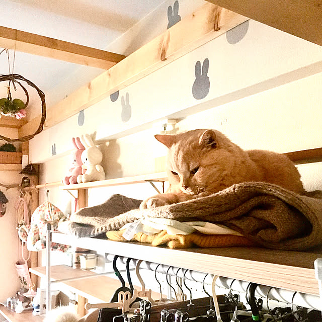 naokoさんの部屋
