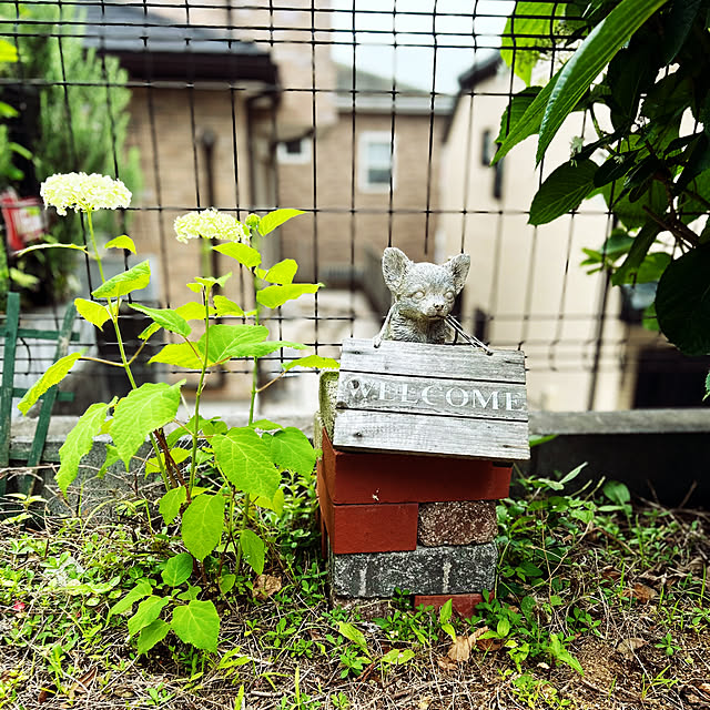 shizuponさんの実例写真