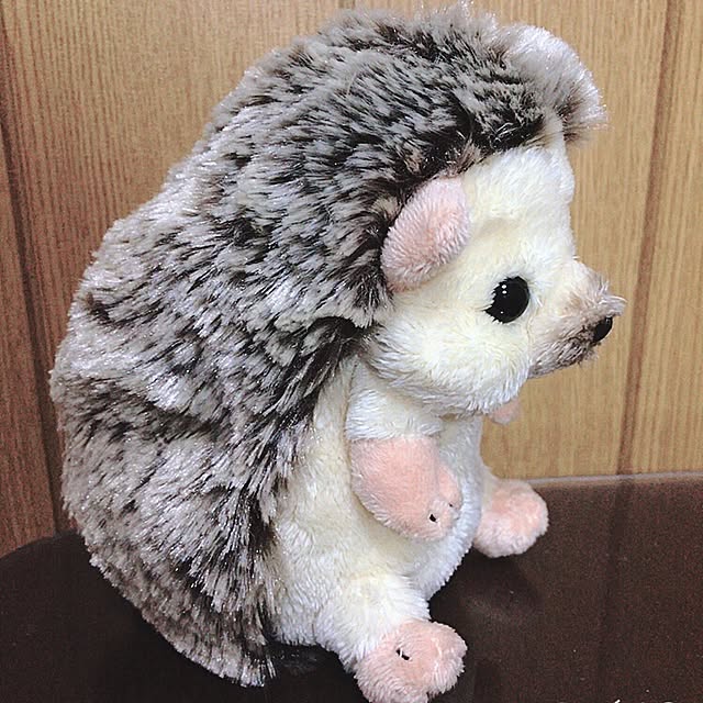 moonさんの実例写真