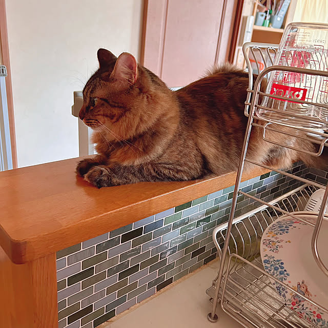 prelumoさんの実例写真