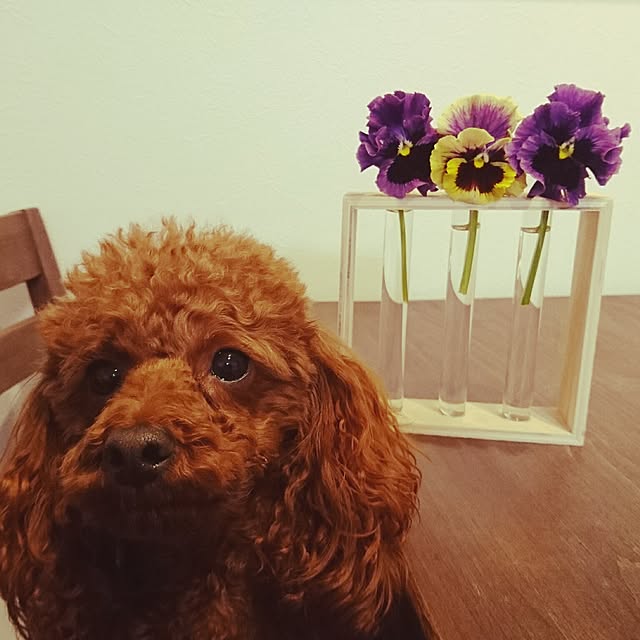 lalacoさんの実例写真
