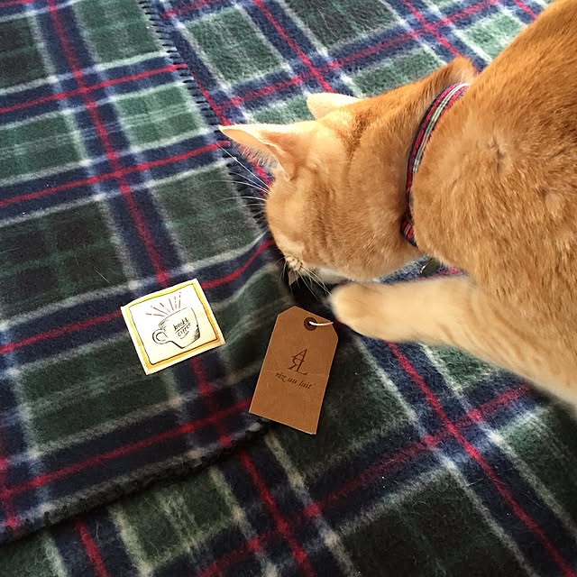 Yumiさんの実例写真