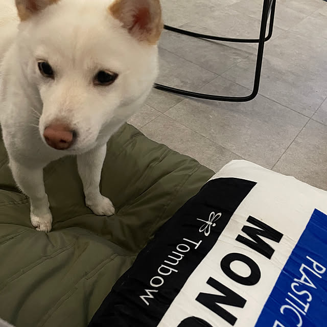 KYokoさんの実例写真