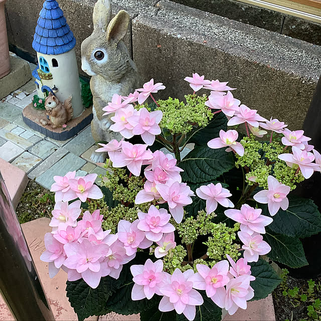 haruminさんの実例写真