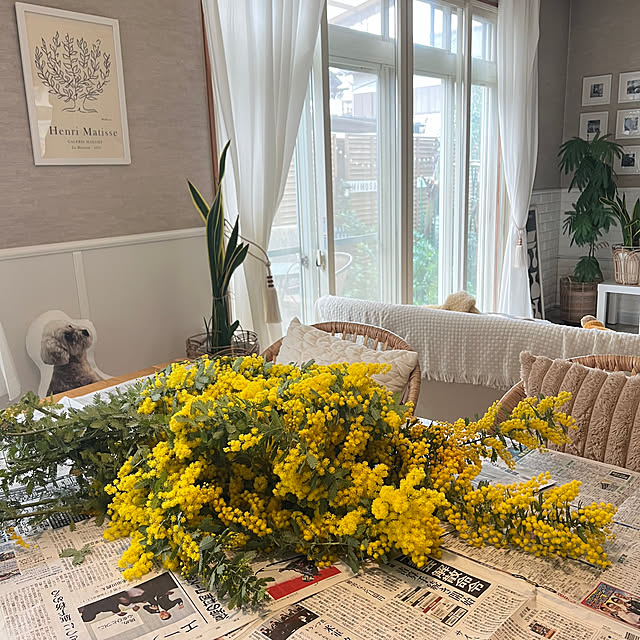 yukarimamaさんの部屋