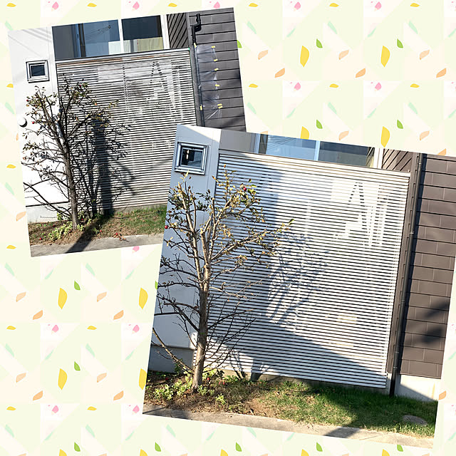 taiyo_423さんの実例写真