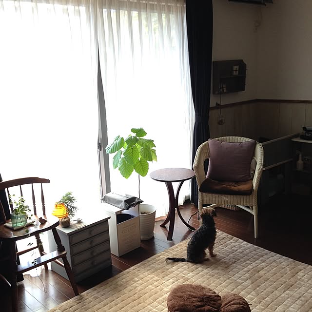 kuroさんの実例写真