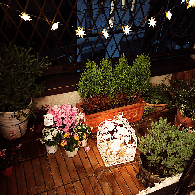 303bycayokoさんの実例写真