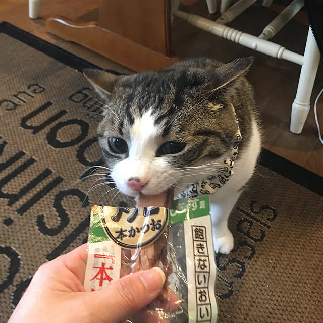 Rumiさんの実例写真