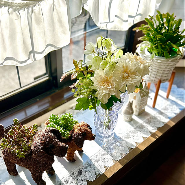 koha_hahahaさんの部屋