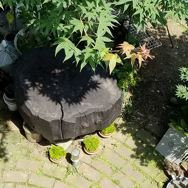 midoriさんの実例写真